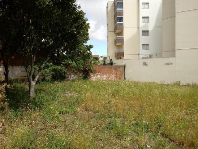Terreno para Venda em Caxias do Sul - 4