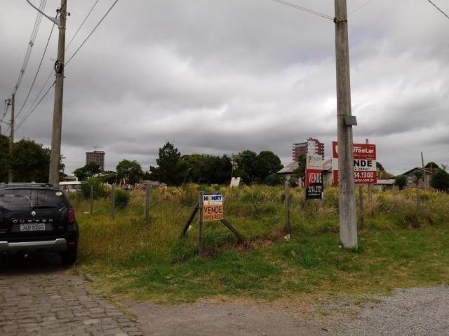 Terreno para Venda em Caxias do Sul - 4