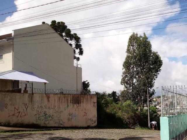 Área para Venda em Caxias do Sul - 4