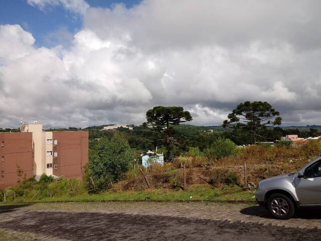 Área para Venda em Caxias do Sul - 5