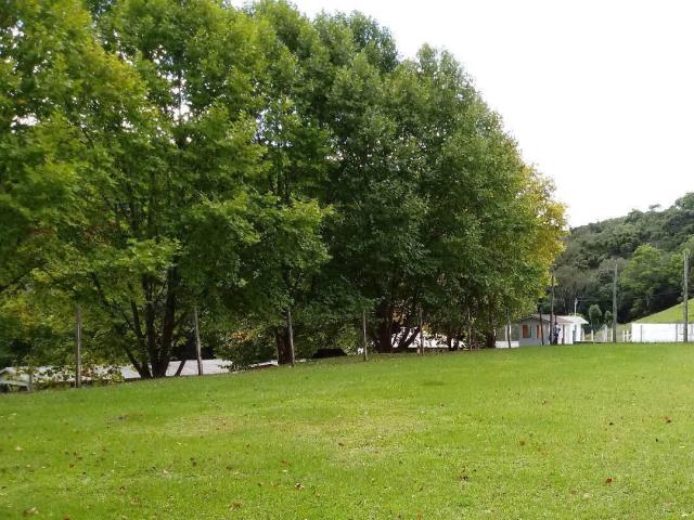 Chácara para Venda em Caxias do Sul - 5