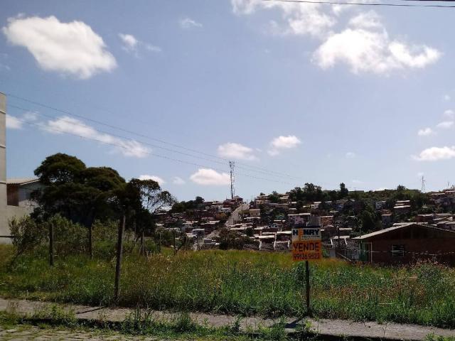 Terreno para Venda em Caxias do Sul - 4