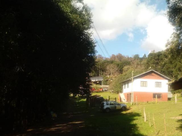 Chácara para Venda em Caxias do Sul - 4