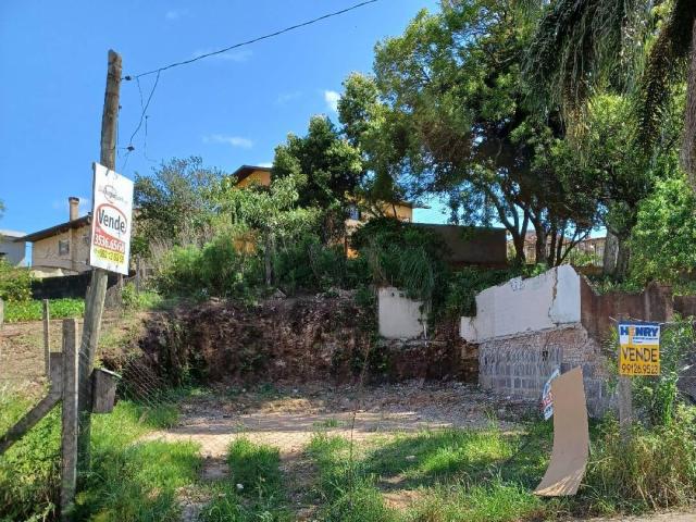 Área para Venda em Caxias do Sul - 4