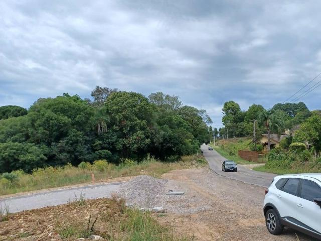 Terreno para Venda em Caxias do Sul - 4