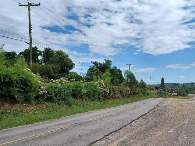 Terreno para Venda em Caxias do Sul - 5