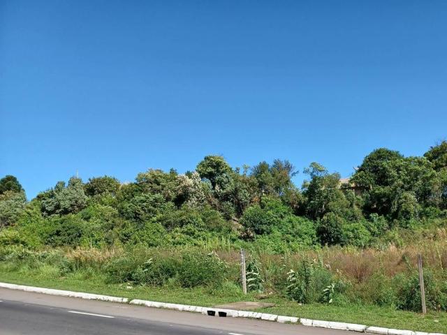 #ter0051 - Apartamento para Venda em Caxias do Sul - RS
