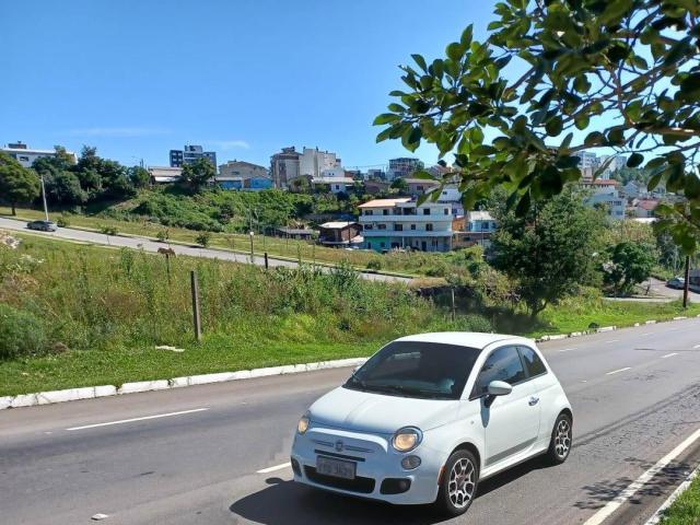 Apartamento para Venda em Caxias do Sul - 4