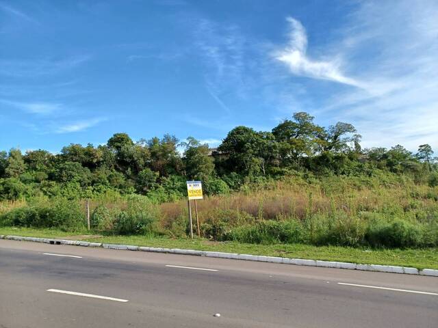 #ter0051 - Apartamento para Venda em Caxias do Sul - RS