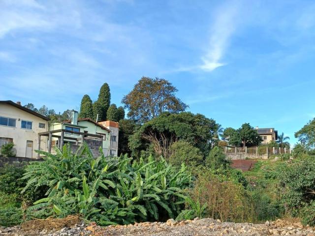 Área para Venda em Caxias do Sul - 5