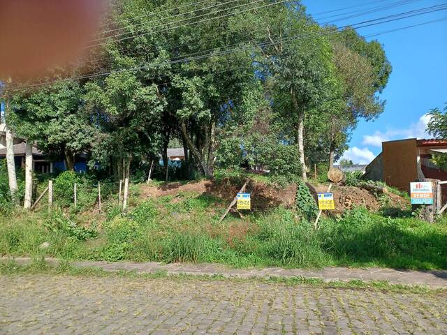 Terreno para Venda em Caxias do Sul - 4