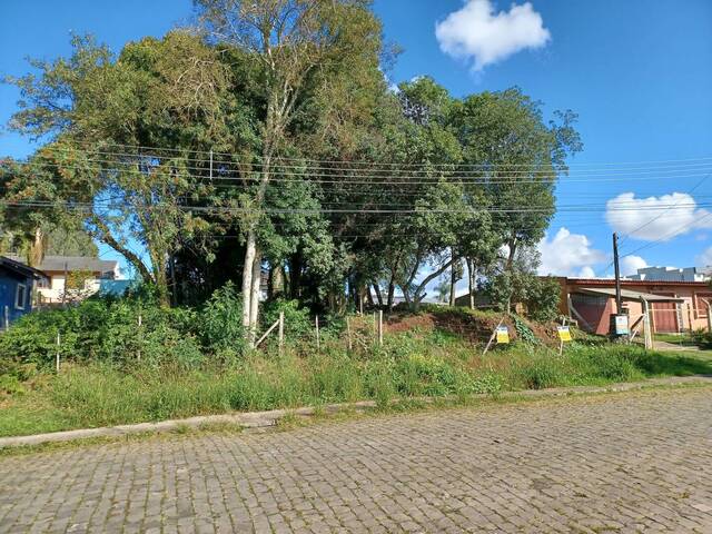 Terreno para Venda em Caxias do Sul - 5