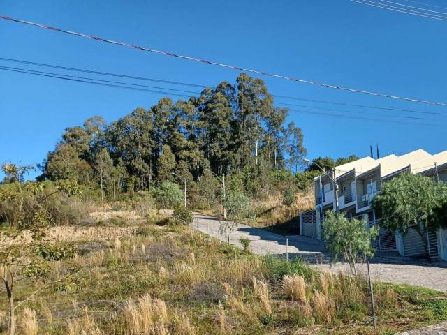 Terreno para Venda em Caxias do Sul - 4