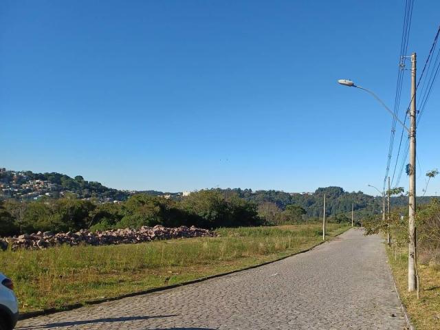 Terreno para Venda em Caxias do Sul - 5