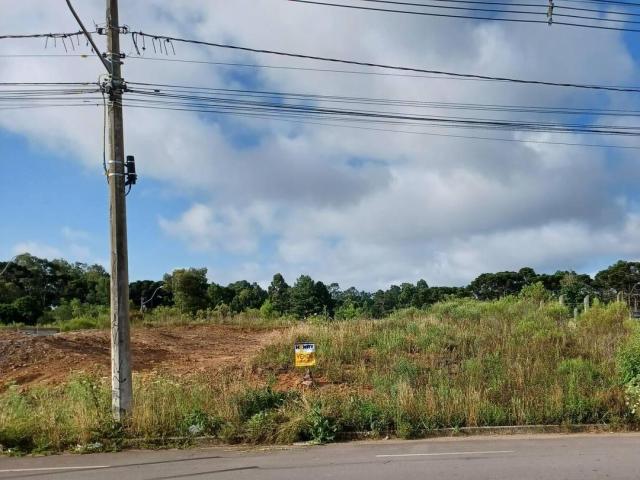 Terreno para Venda em Caxias do Sul - 4