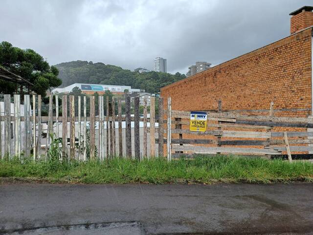 Área para Venda em Caxias do Sul - 5