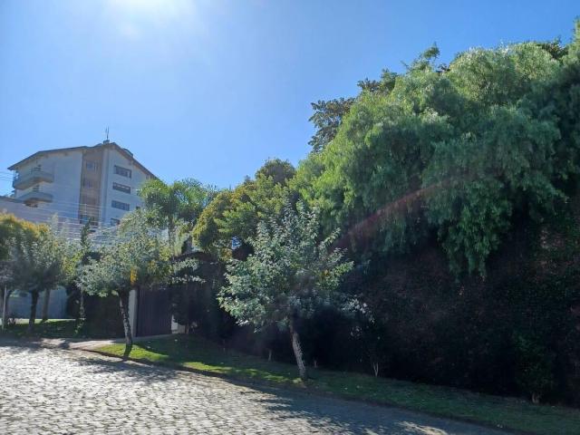 Casa para Venda em Caxias do Sul - 4