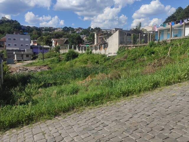 Área para Venda em Caxias do Sul - 4