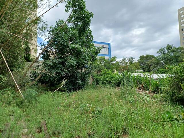 Área para Venda em Caxias do Sul - 4