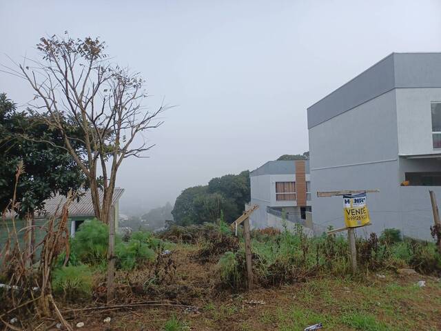 Área para Venda em Caxias do Sul - 4