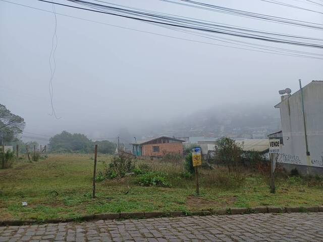 Terreno para Venda em Caxias do Sul - 5