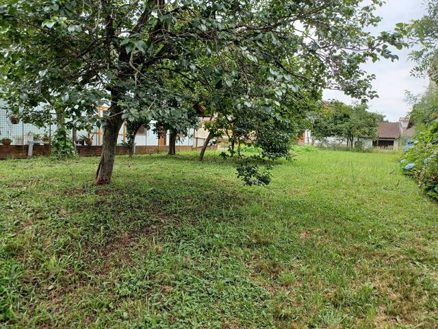 Terreno para Venda em Caxias do Sul - 4