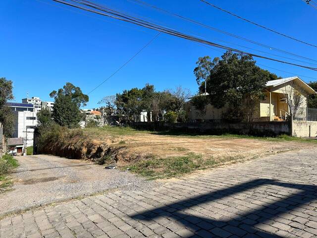 #ter0091 - Terreno para Venda em Caxias do Sul - RS - 1