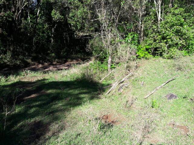 #rural002 - Sítio para Venda em Caxias do Sul - RS - 3