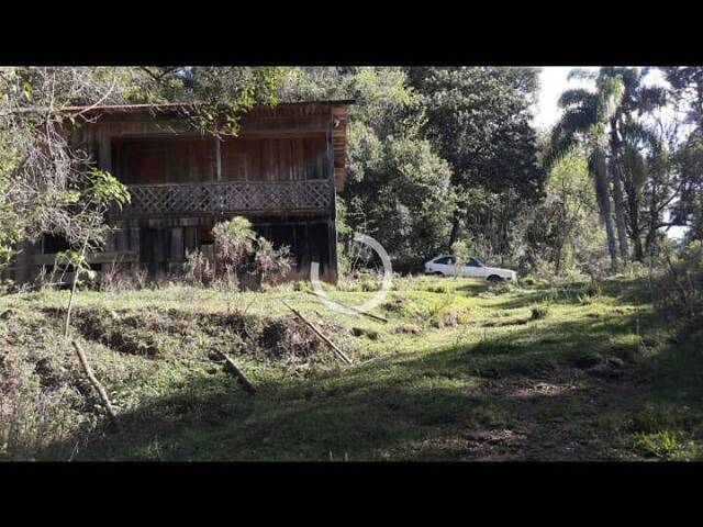 Sítio para Venda em Caxias do Sul - 5