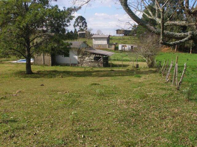 Terreno para Venda em São Francisco de Paula - 4