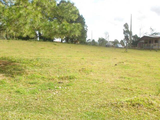 #ter0094 - Terreno para Venda em São Francisco de Paula - RS - 2