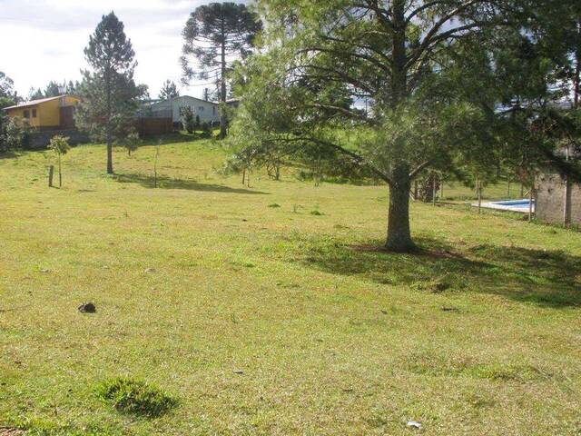 Terreno para Venda em São Francisco de Paula - 5