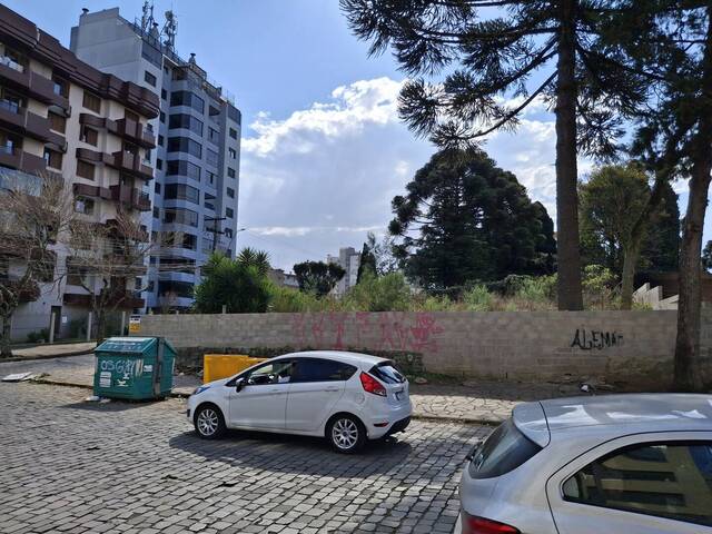Área para Venda em Caxias do Sul - 5