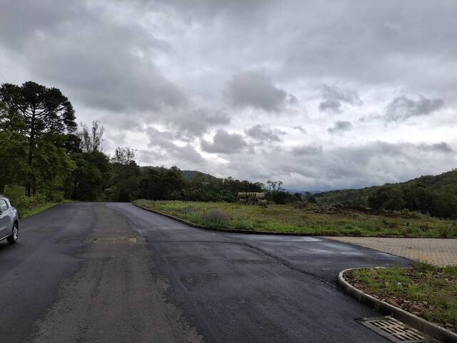 #ter0039 - Terreno para Venda em Caxias do Sul - RS