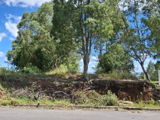Venda em Pioneiro - Caxias do Sul