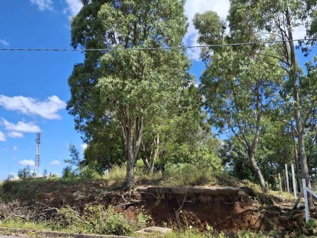 #TER0099 - Terreno para Venda em Caxias do Sul - RS - 2