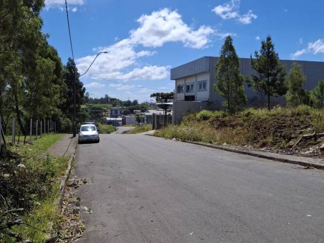 #TER0099 - Terreno para Venda em Caxias do Sul - RS - 3