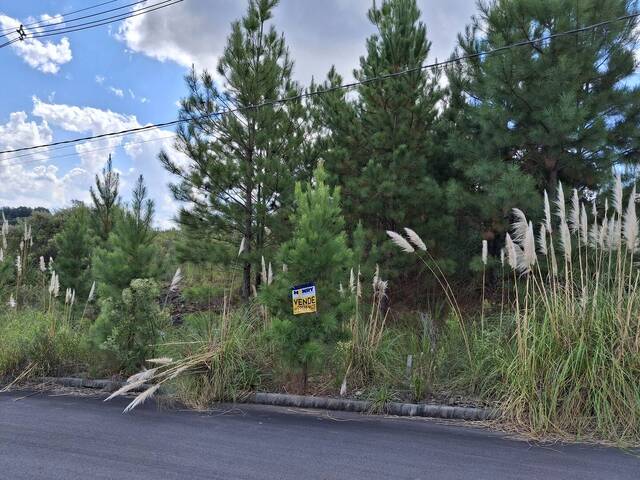 #TER0103 - Área para Venda em Caxias do Sul - RS - 2