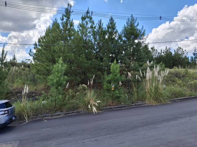 #TER0103 - Área para Venda em Caxias do Sul - RS - 3