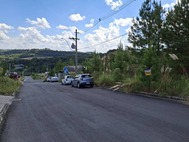 Área para Venda em Caxias do Sul - 4