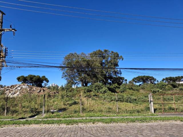 #ter0105 - Área para Venda em Caxias do Sul - RS - 2
