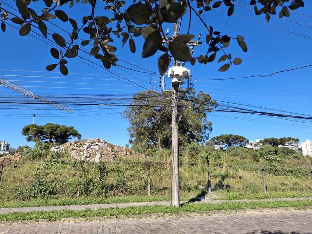 #ter0105 - Área para Venda em Caxias do Sul - RS - 3