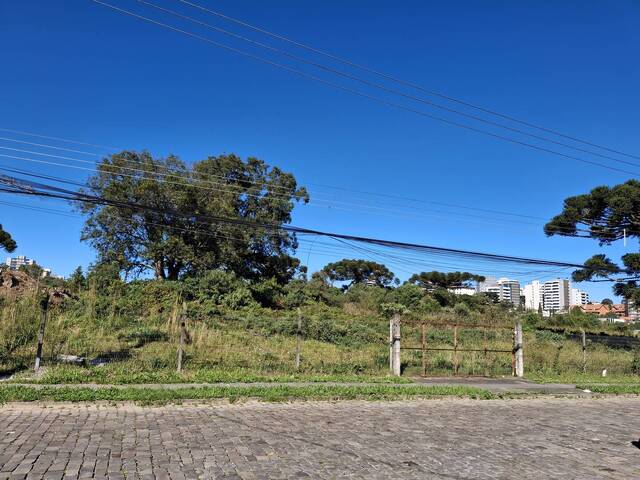 Área para Venda em Caxias do Sul - 4