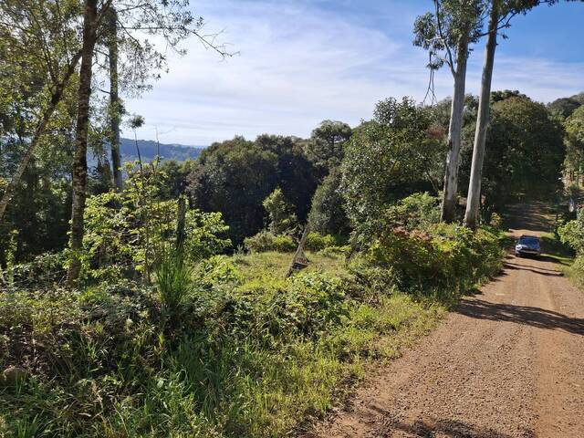 Venda em Ana Rech - Caxias do Sul