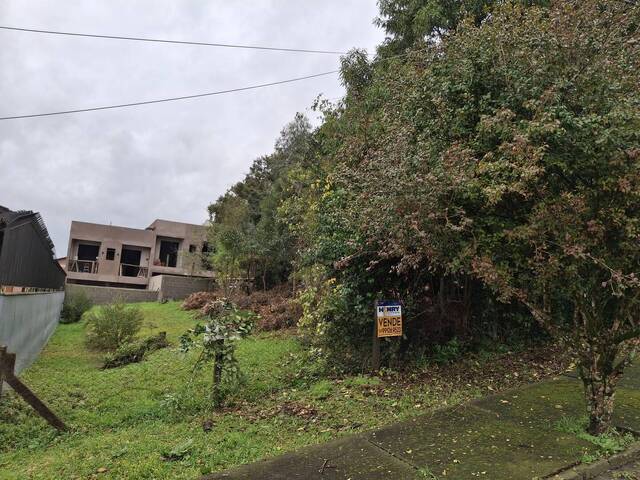 #TER0108 - Terreno para Venda em Caxias do Sul - RS - 2
