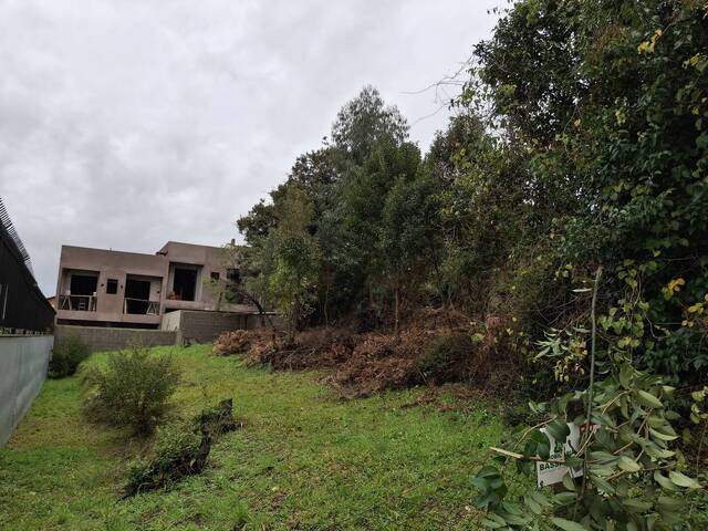 #TER0108 - Terreno para Venda em Caxias do Sul - RS - 3