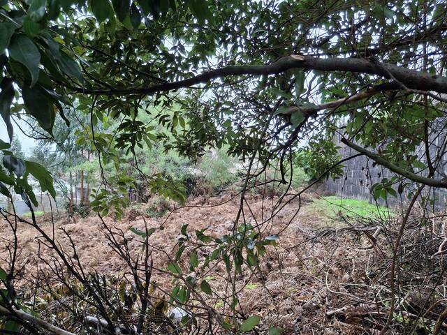 Terreno para Venda em Caxias do Sul - 4