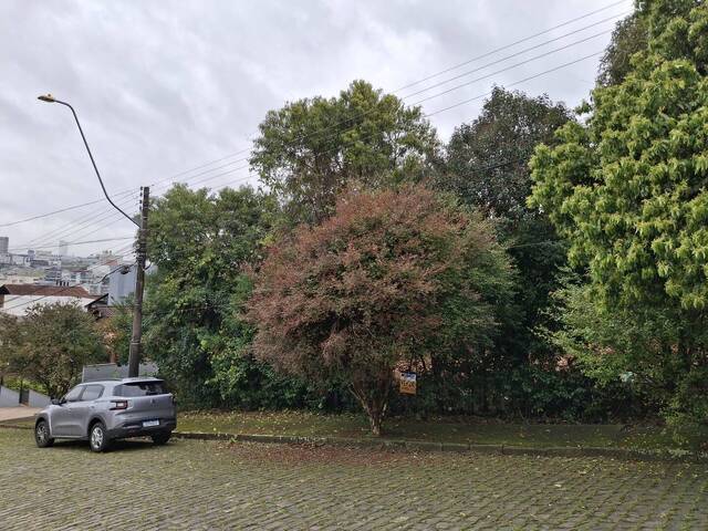 Venda em Cinquentenário - Caxias do Sul