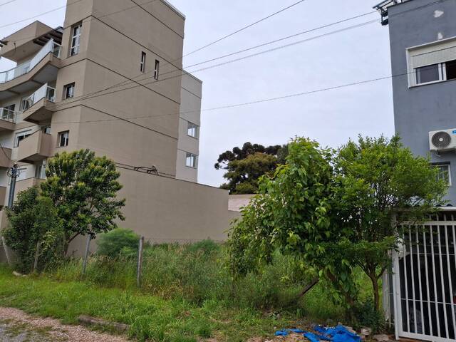 Terreno para Venda em Caxias do Sul - 4